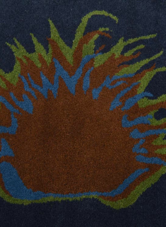 Additional image