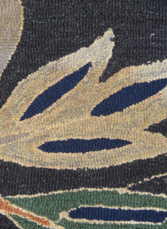 Additional image