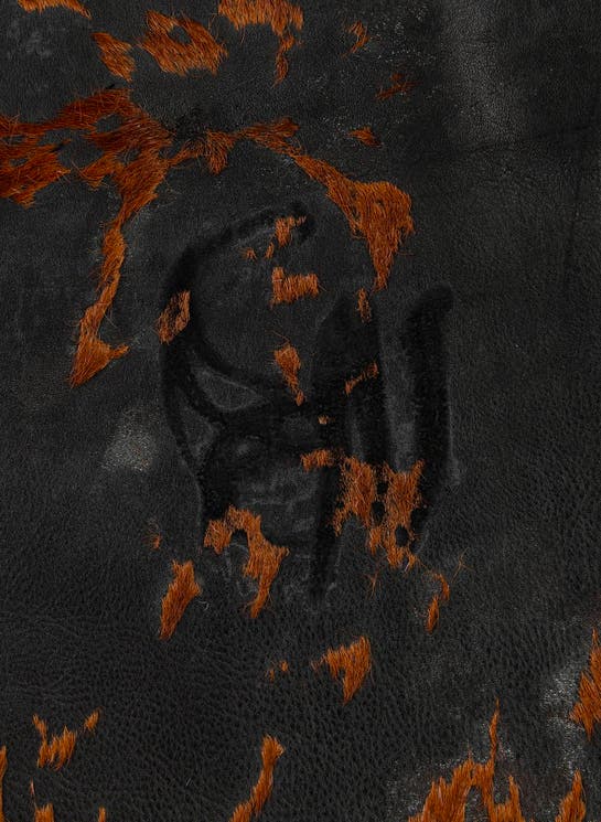 Additional image