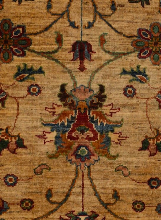 Additional image
