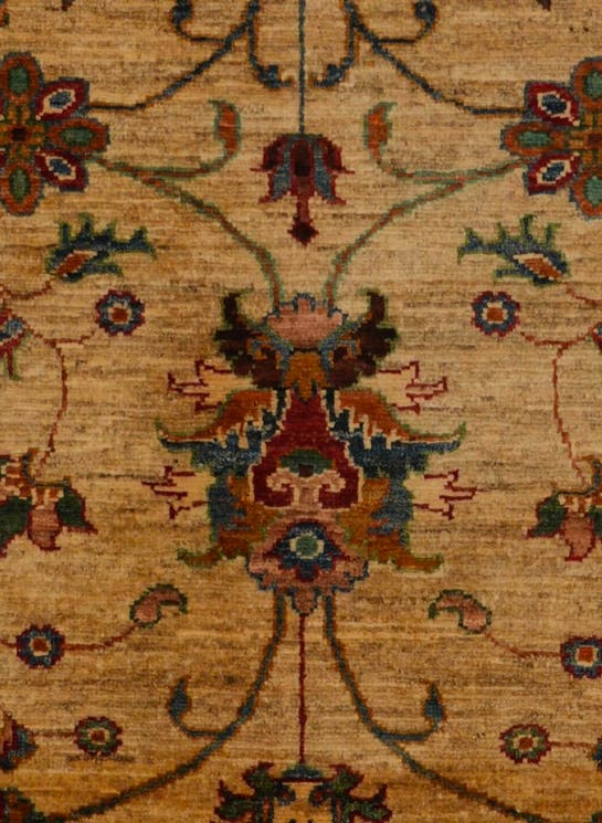 Additional image