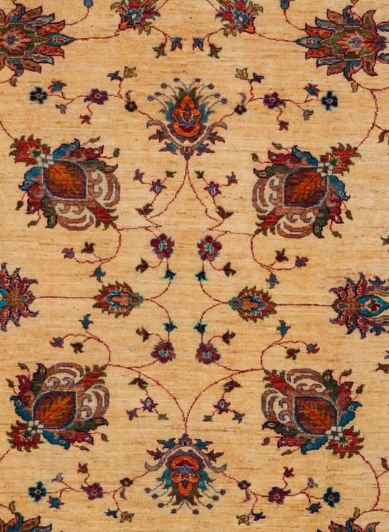 Additional image