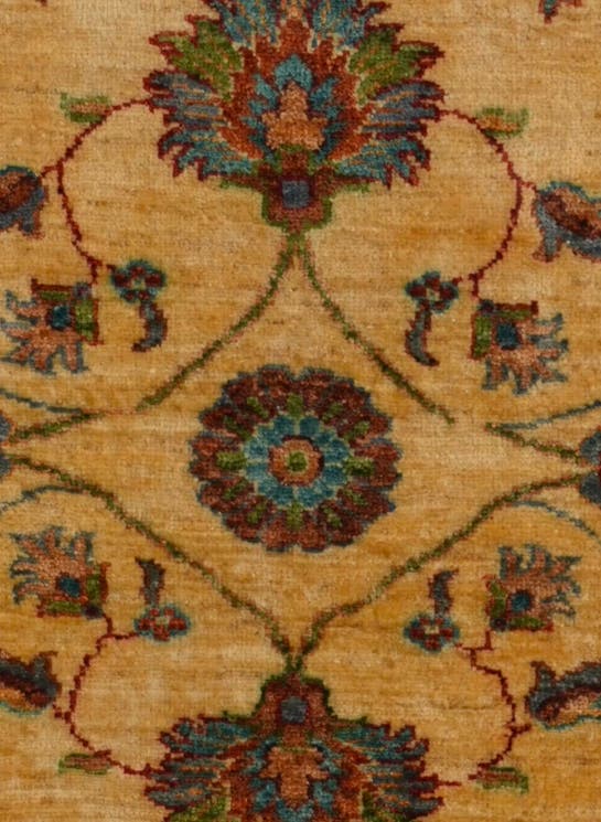 Additional image