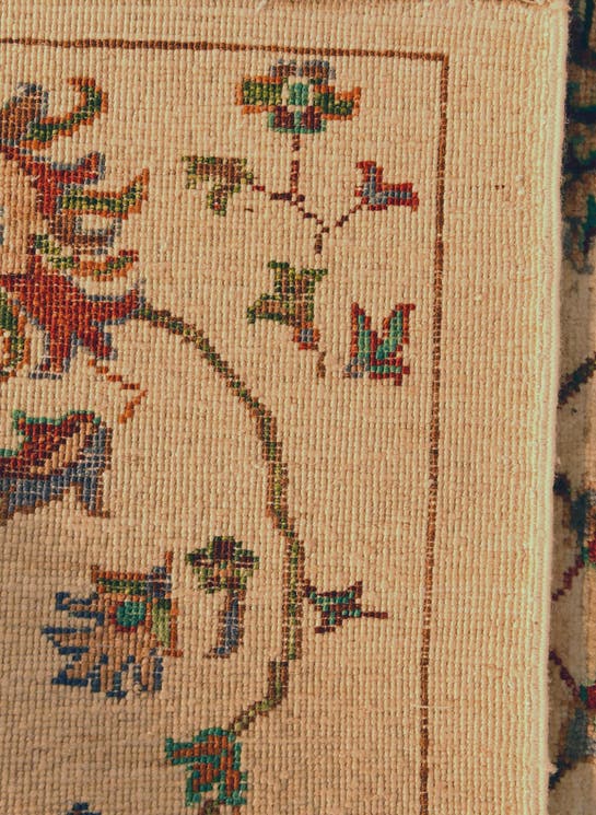 Additional image