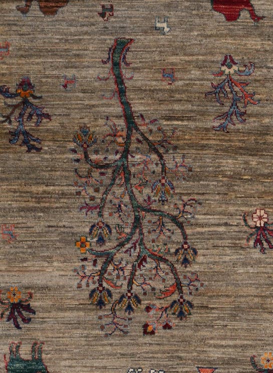 Additional image