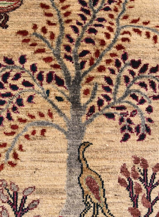 Additional image