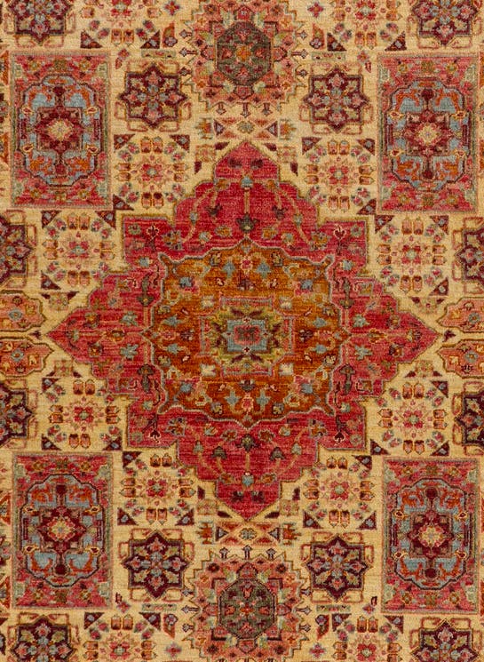 Additional image