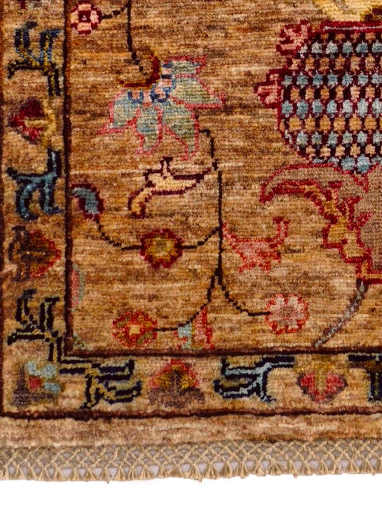 Additional image
