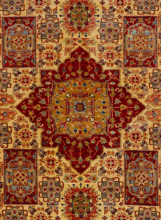 Additional image