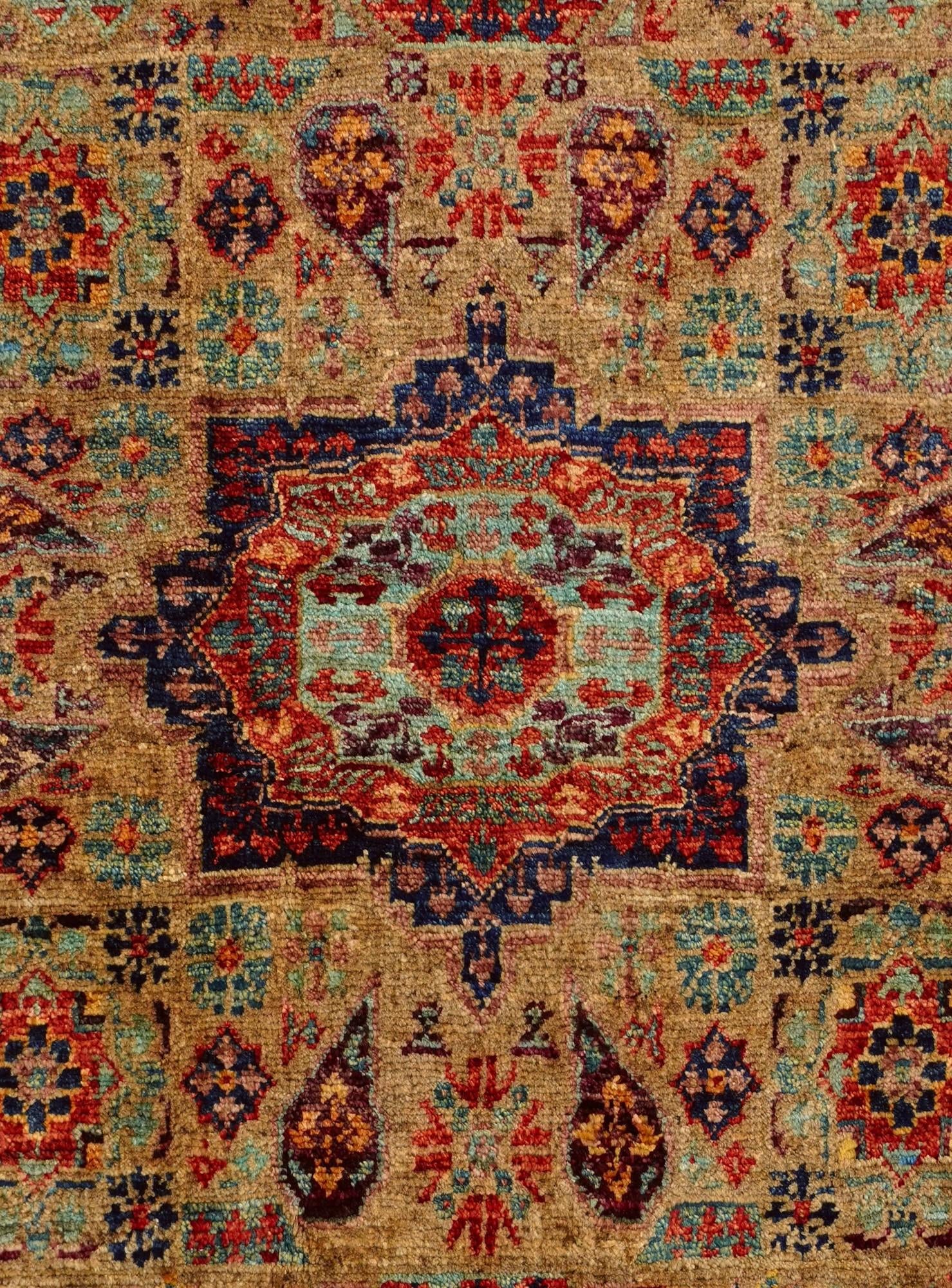 Additional image