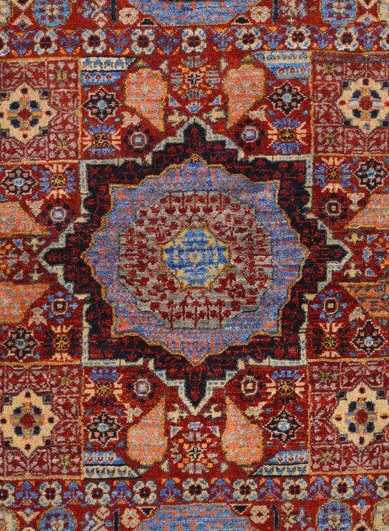 Additional image