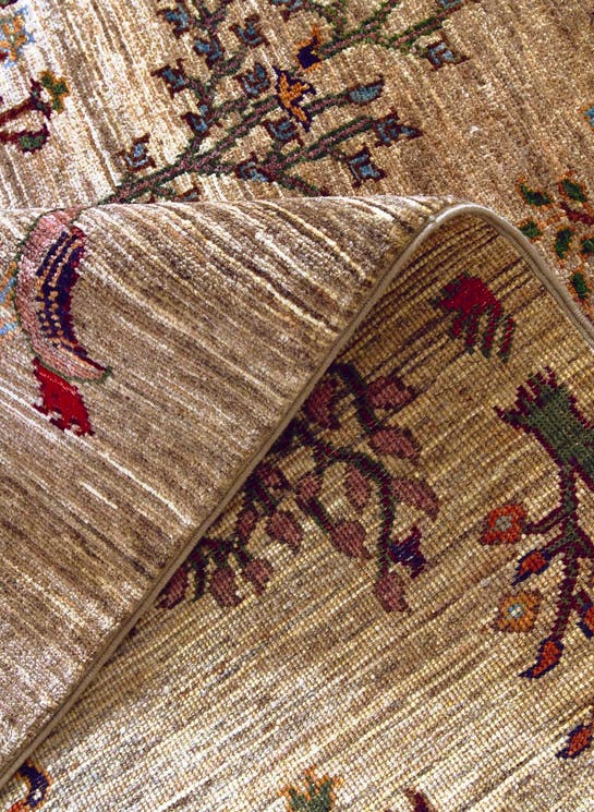 Additional image