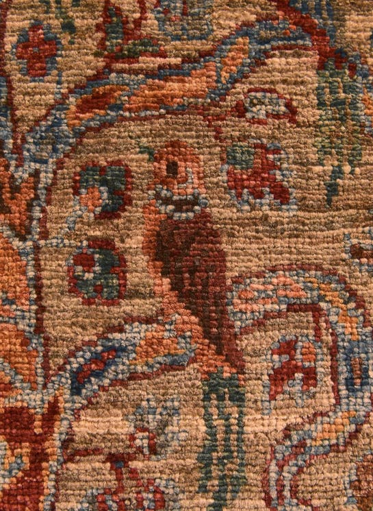 Additional image