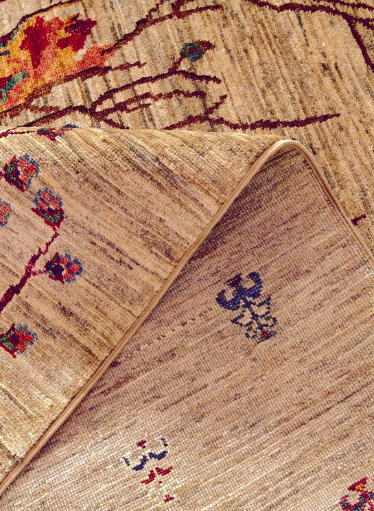 Additional image