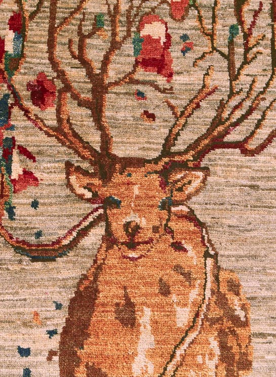 Additional image
