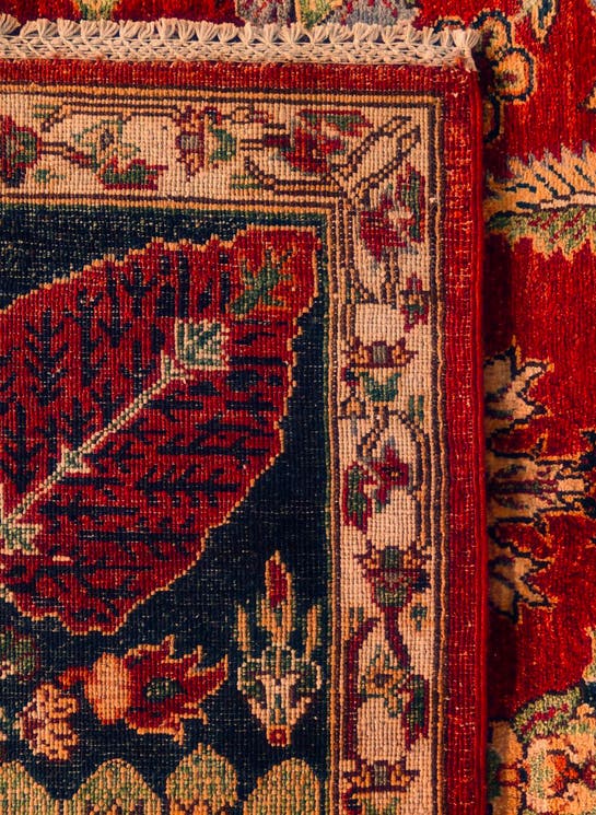 Additional image