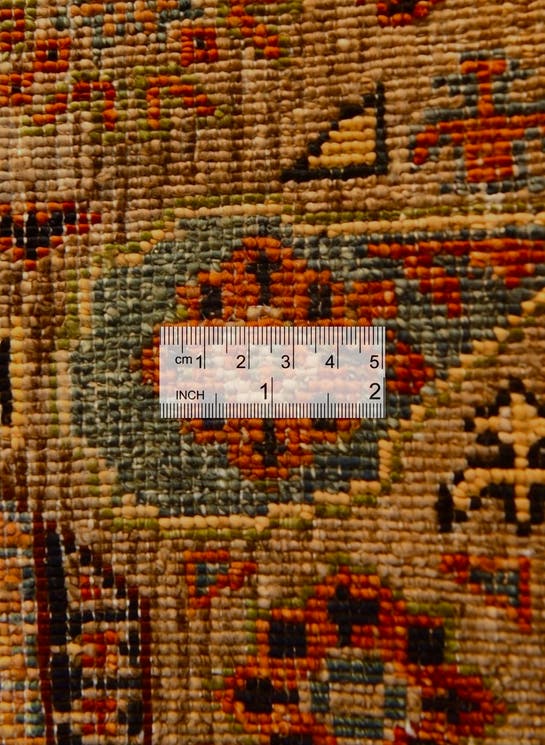 Additional image