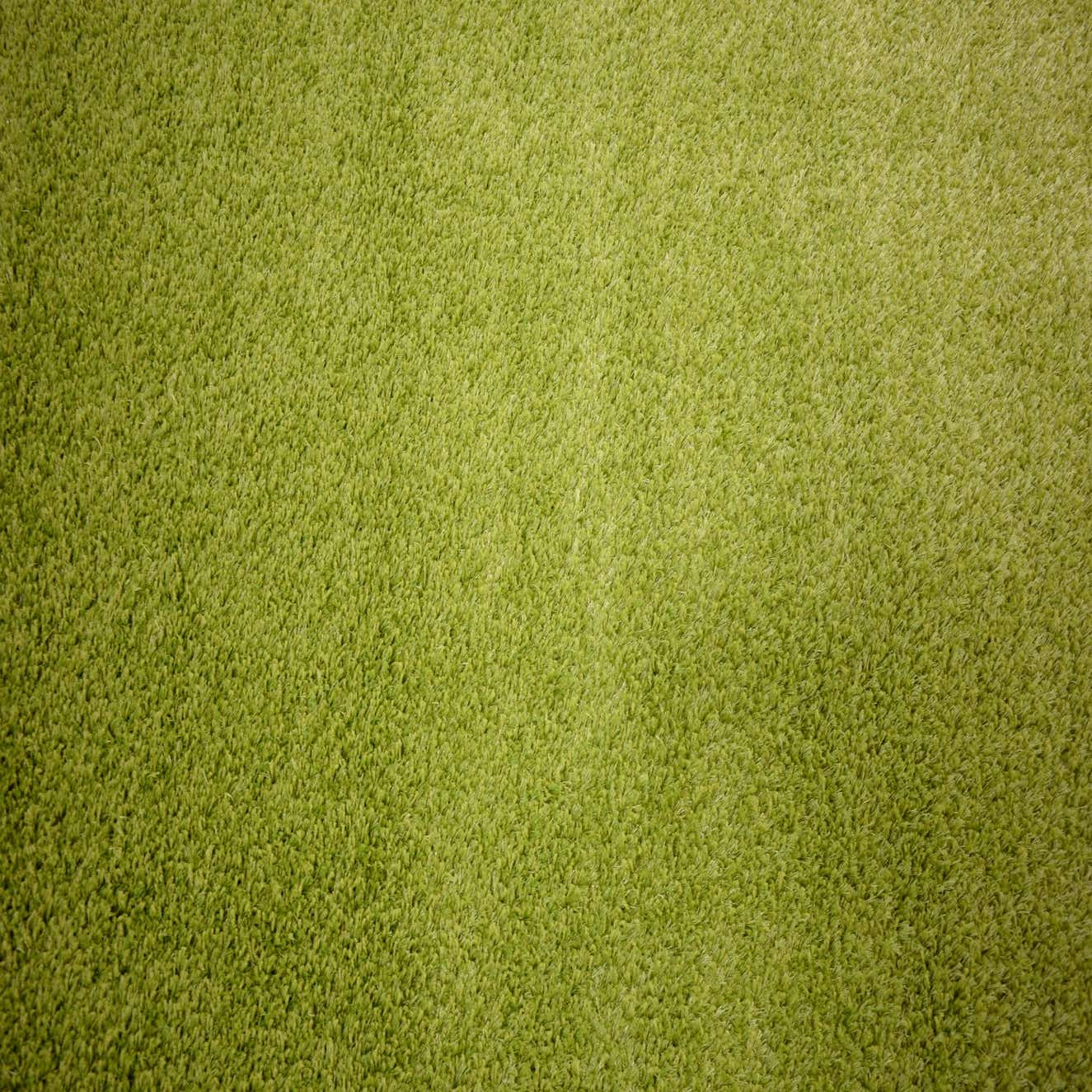 green-5-3-x-7-7-solid-shag-rug-esalerugs