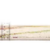 183cm x 275cm Florence Rug thumbnail