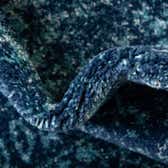 245cm x 305cm Heritage Rug thumbnail