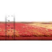 305cm x 427cm Coffee Shop Rug thumbnail