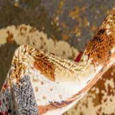 90cm x 160cm Coffee Shop Rug thumbnail