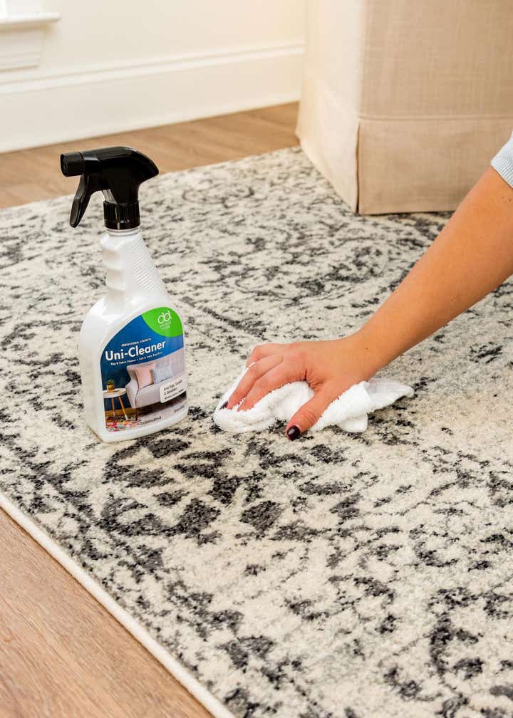Rugs.com Everyday Rug & Fabric Cleaner (22oz)