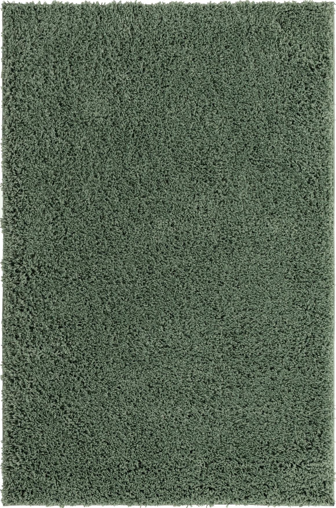 Green 4' x 6' Everyday Shag Rug