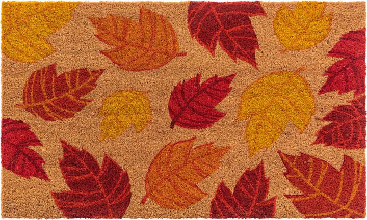 45cm x 75cm Fall Leaves Doormat