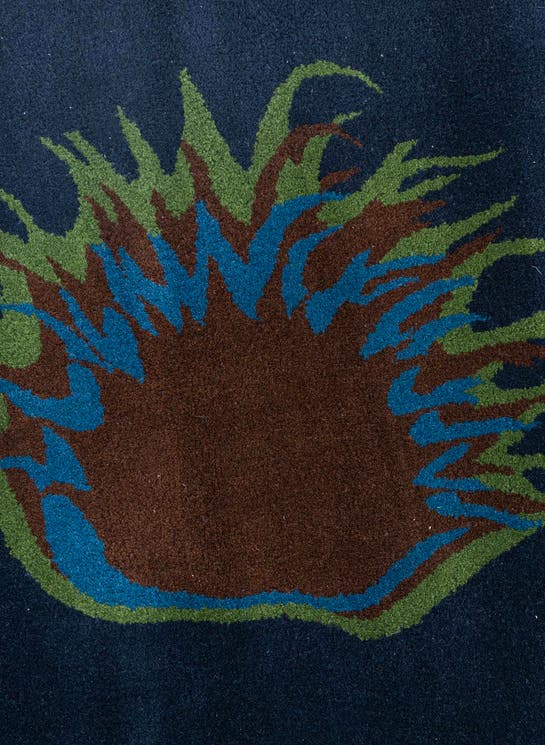 Additional image