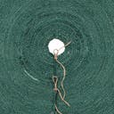 Rug Green Swatch link