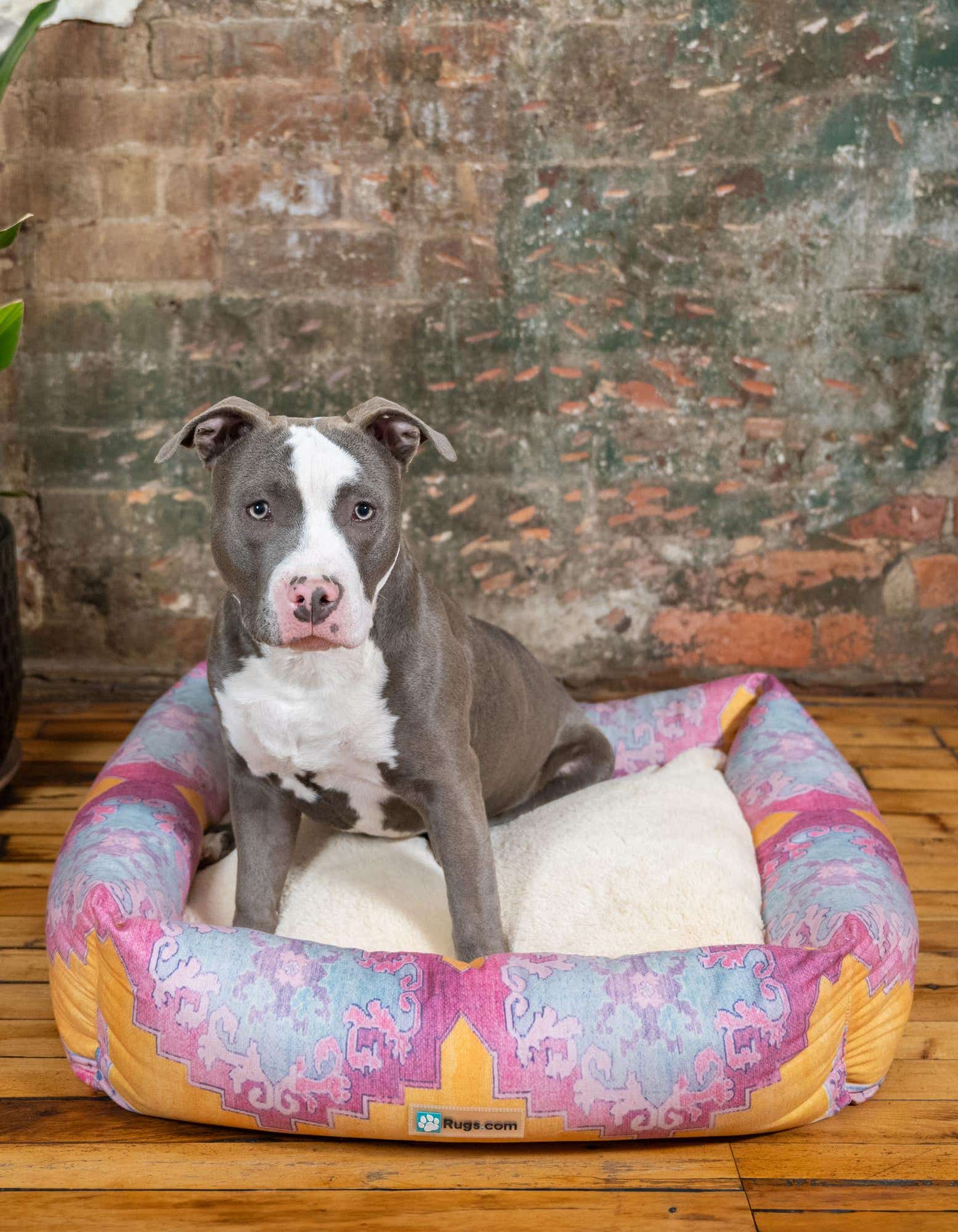 2' x 2' 4 Premium Pet Bed
