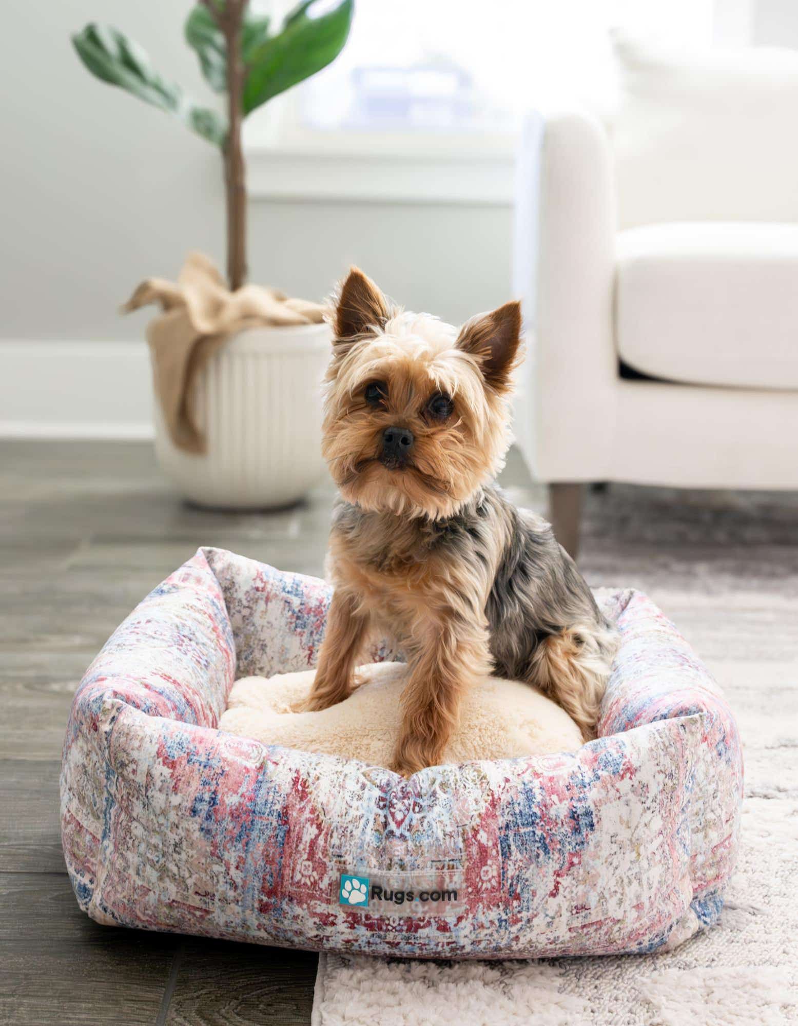 Primary image 1' 4 x 1' 8 Premium Pet Bed