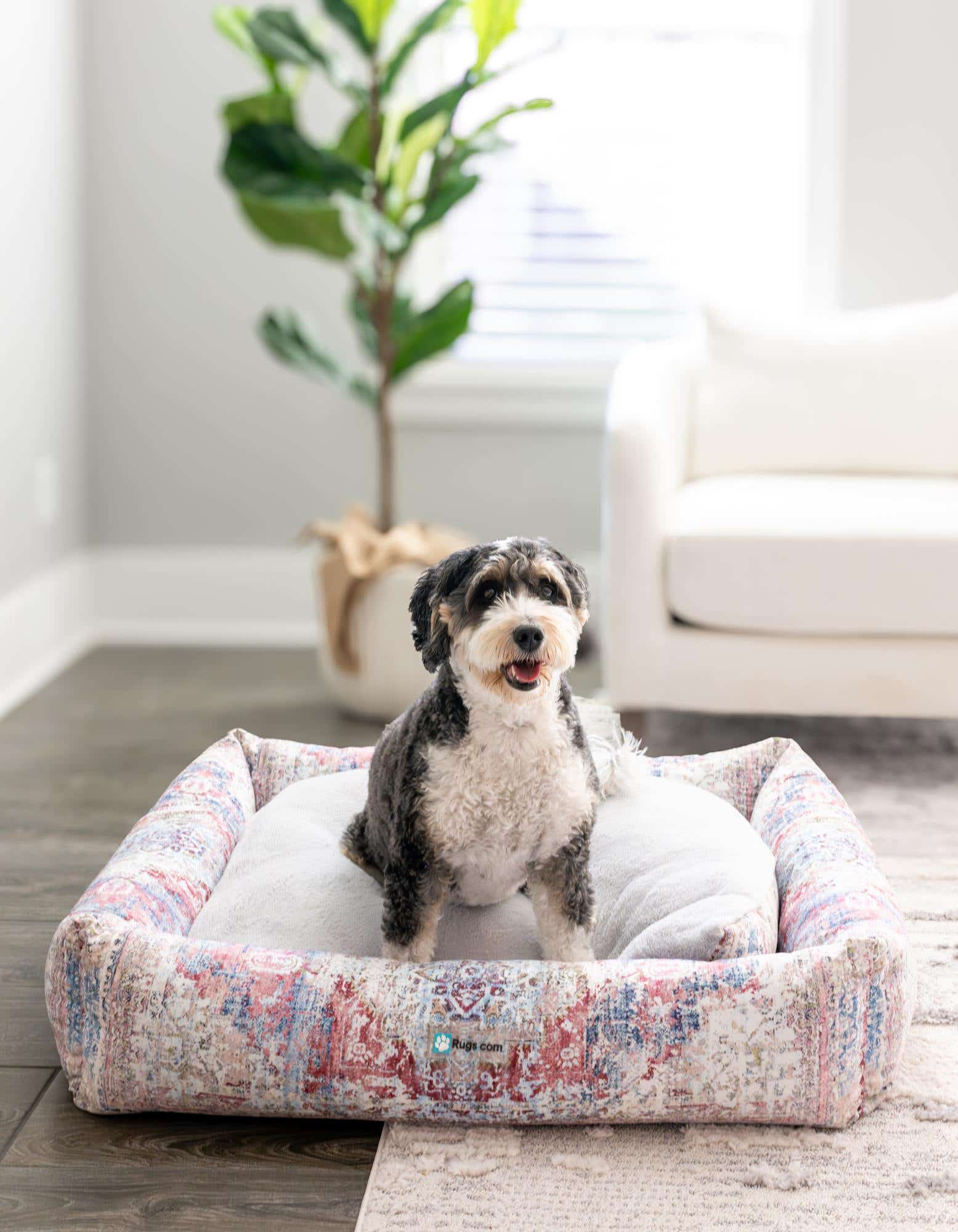 Primary image 2' 9 x 3' 3 Premium Pet Bed