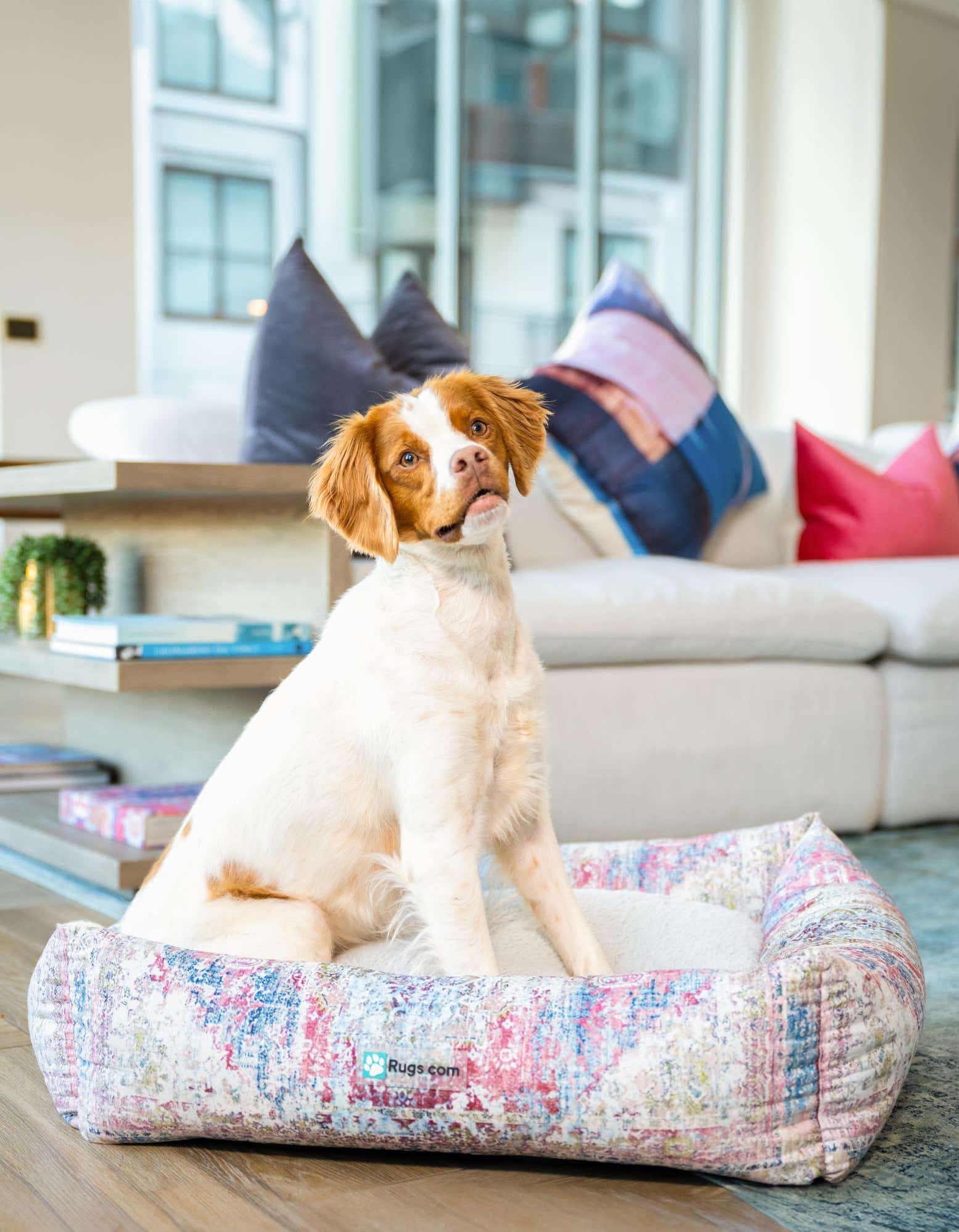 2' x 2' 4 Premium Pet Bed