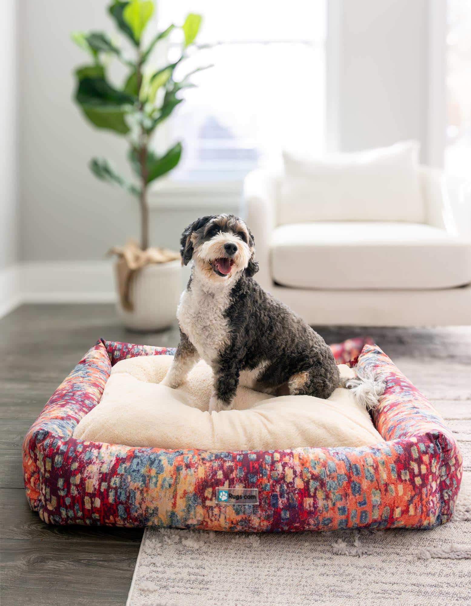 Primary image 2' 9 x 3' 3 Premium Pet Bed