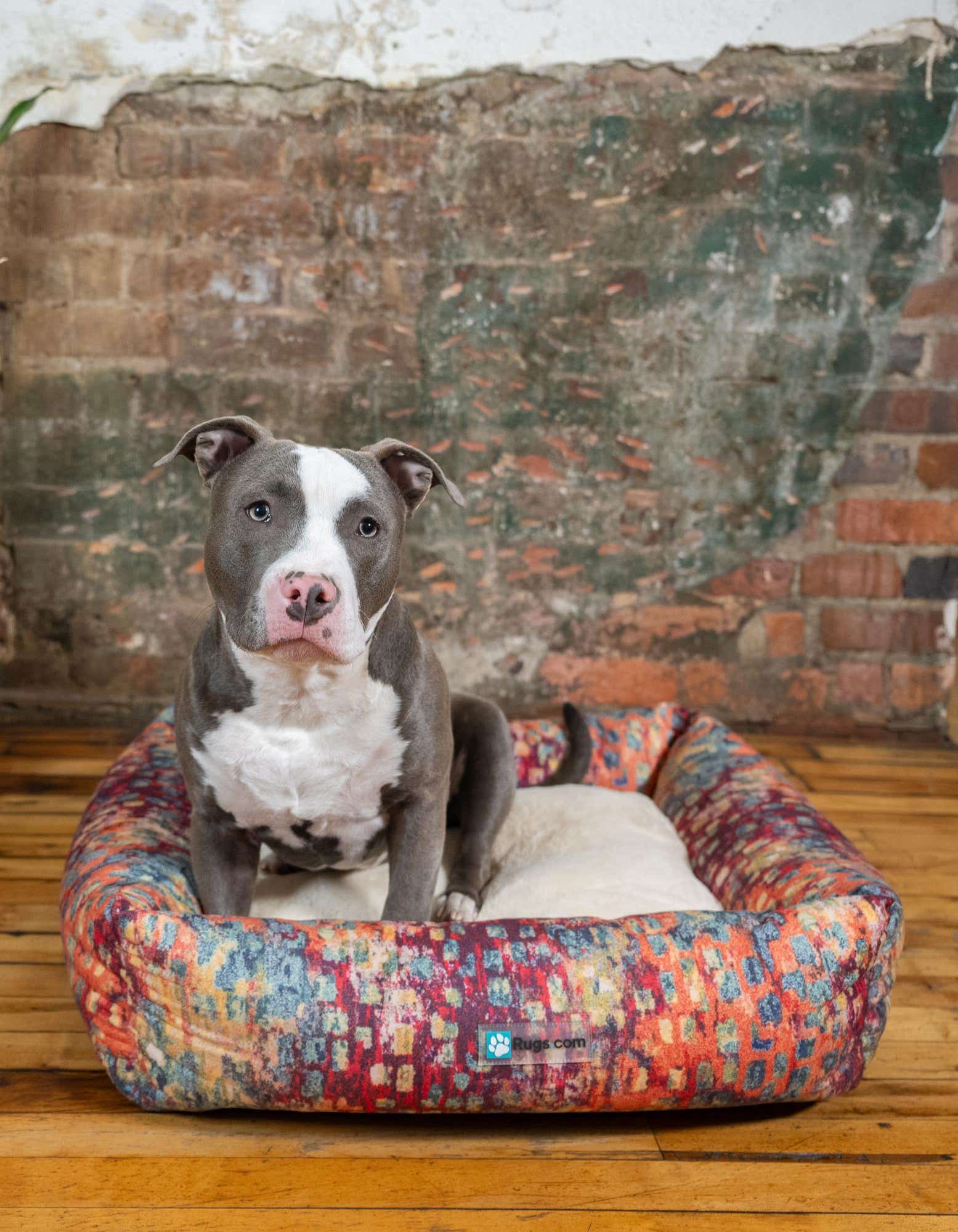2' x 2' 4 Premium Pet Bed