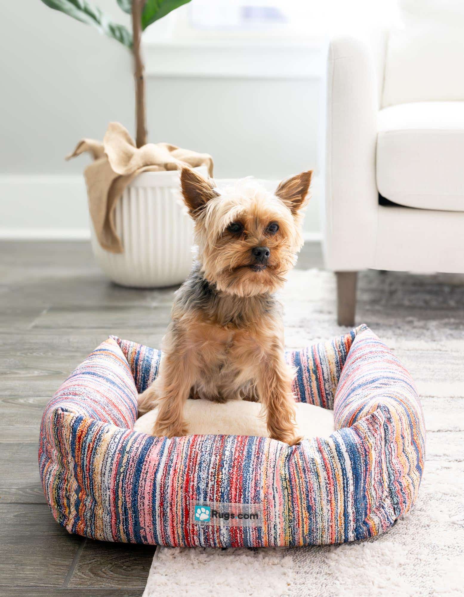 Primary image 1' 4 x 1' 8 Premium Pet Bed