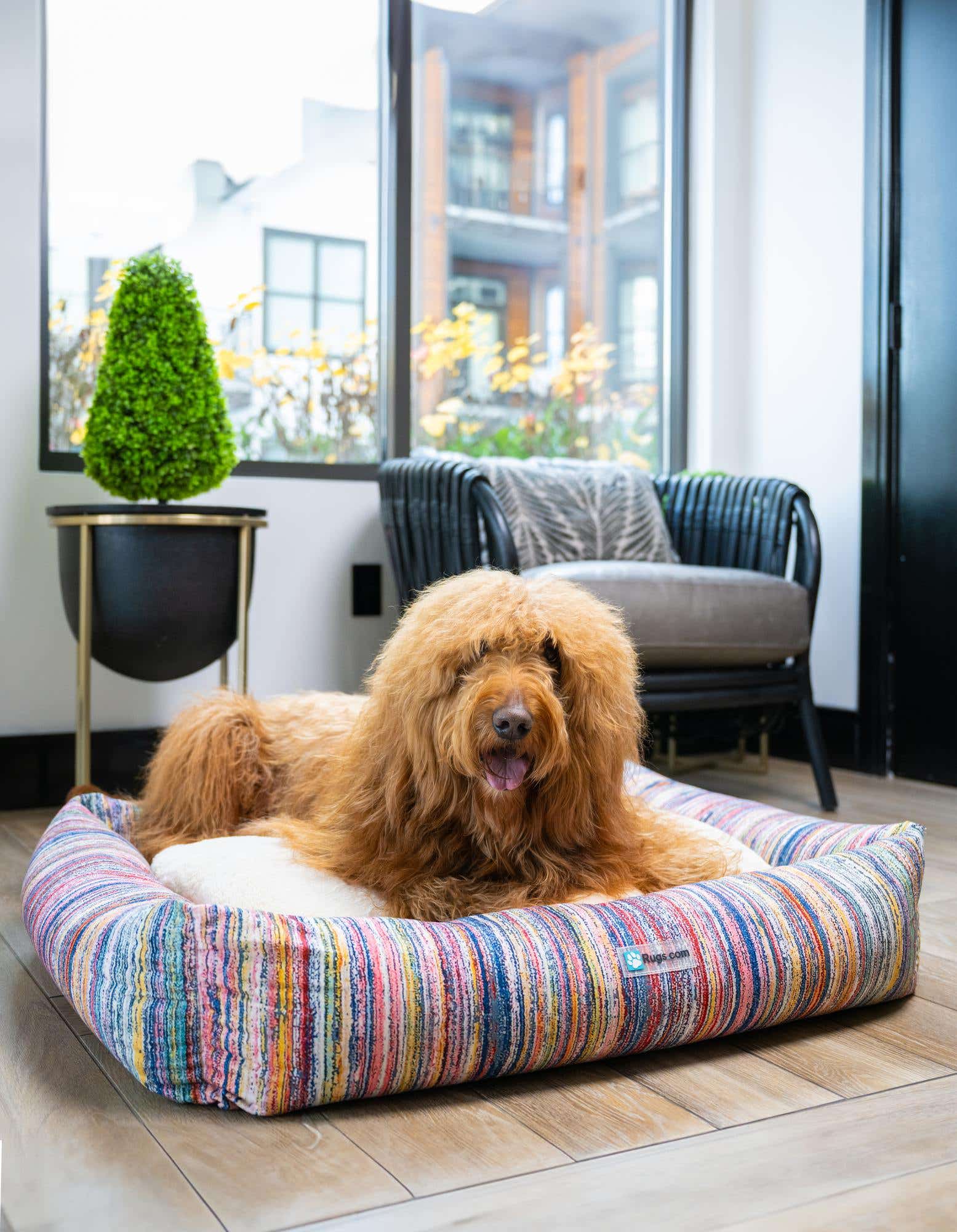2' 9 x 3' 3 Premium Pet Bed
