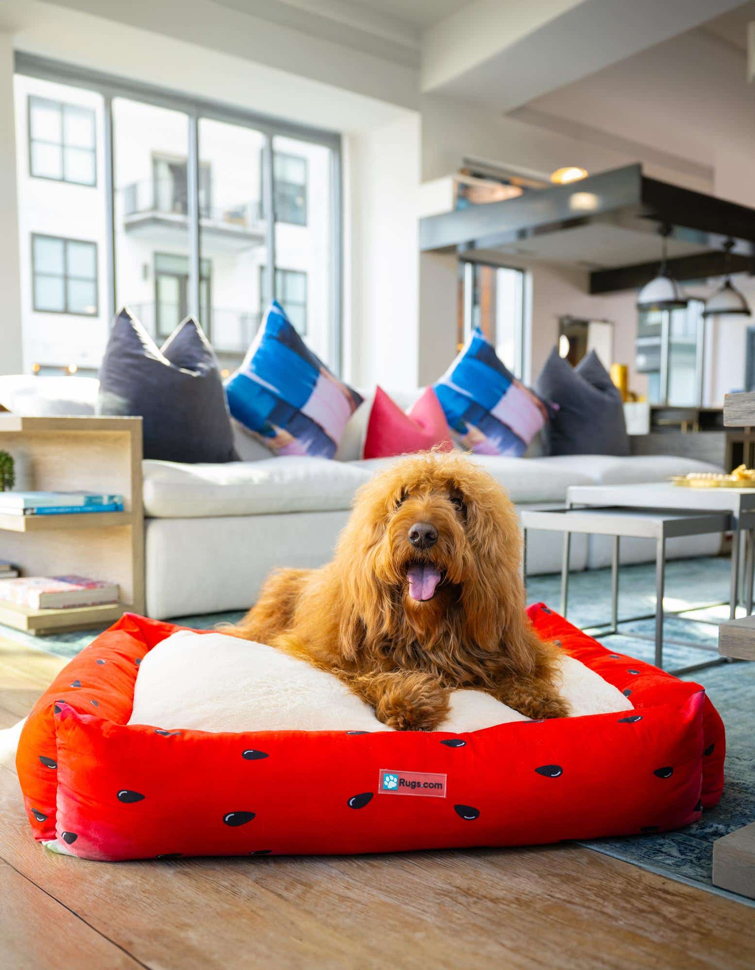 2' 9 x 3' 3 Premium Pet Bed
