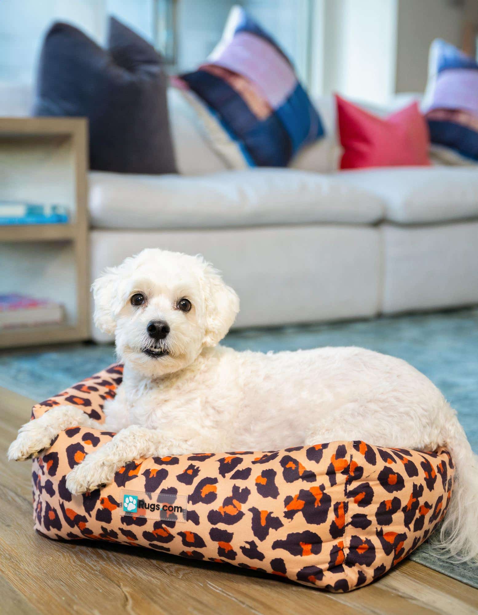1' 4 x 1' 8 Premium Pet Bed