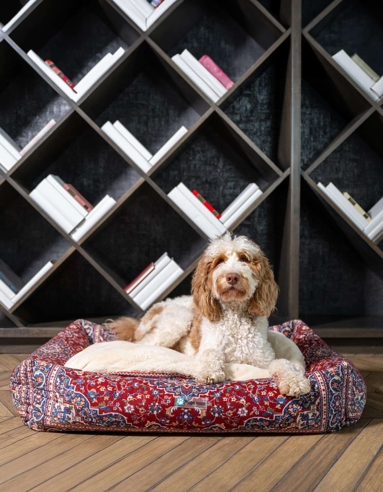 Primary image 2' 9 x 3' 3 Premium Pet Bed