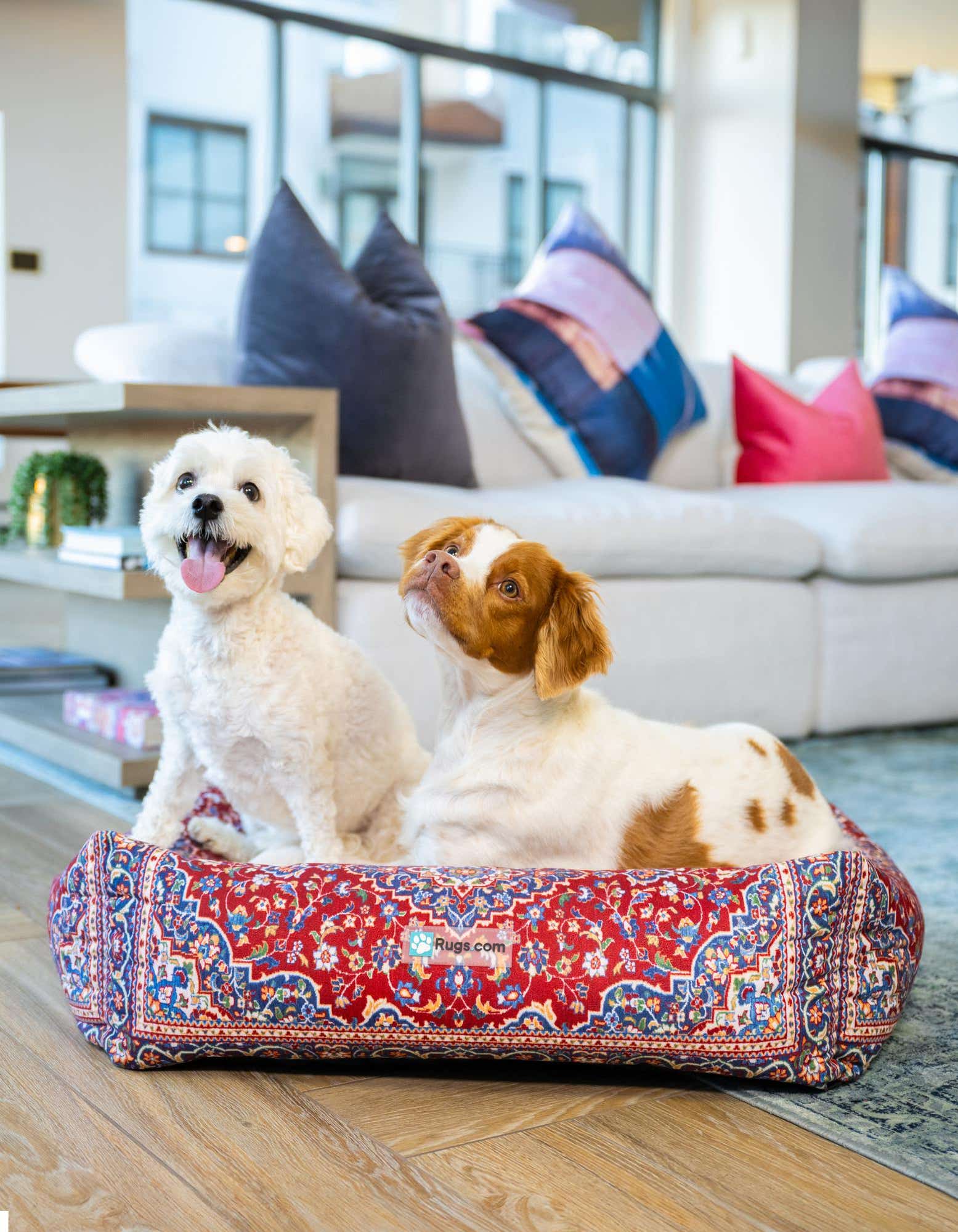 2' x 2' 4 Premium Pet Bed