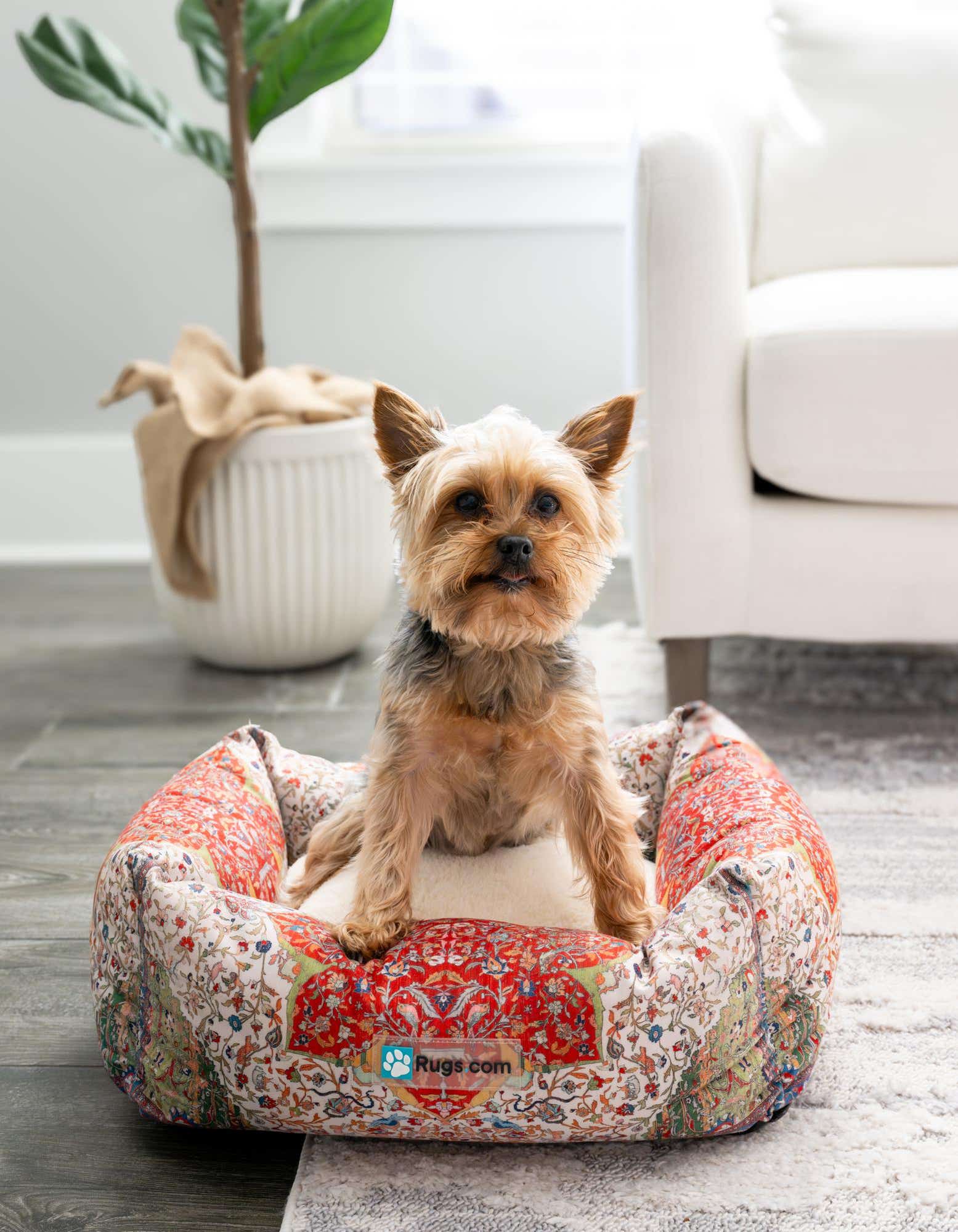 1' 4 x 1' 8 Premium Pet Bed