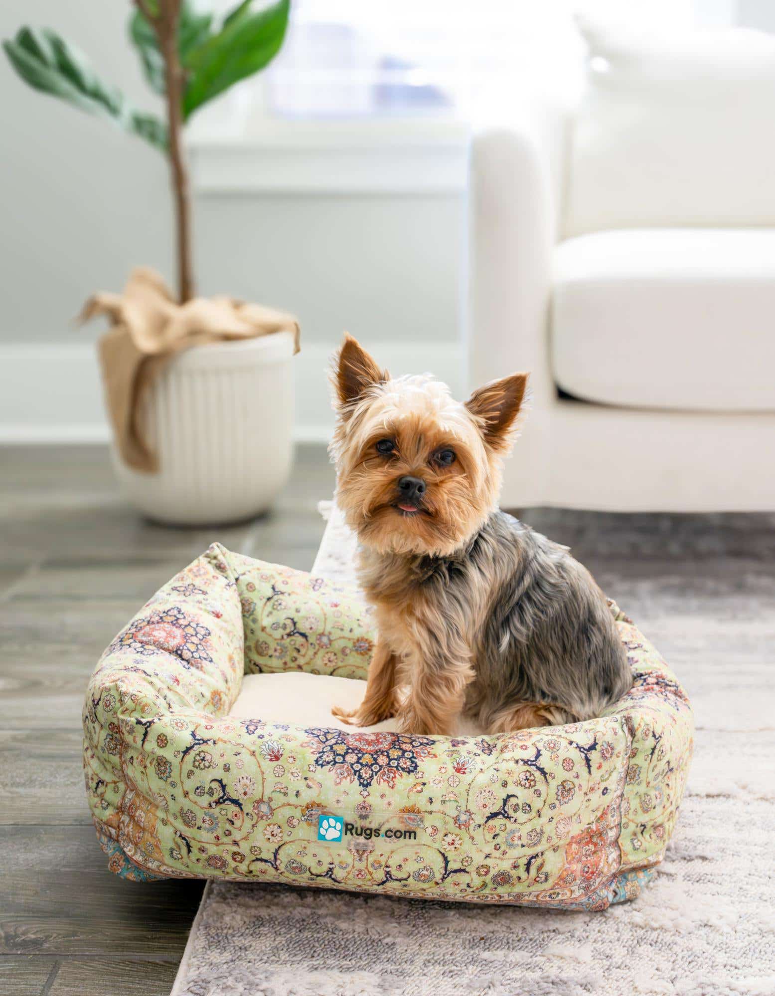 Primary image 1' 4 x 1' 8 Premium Pet Bed