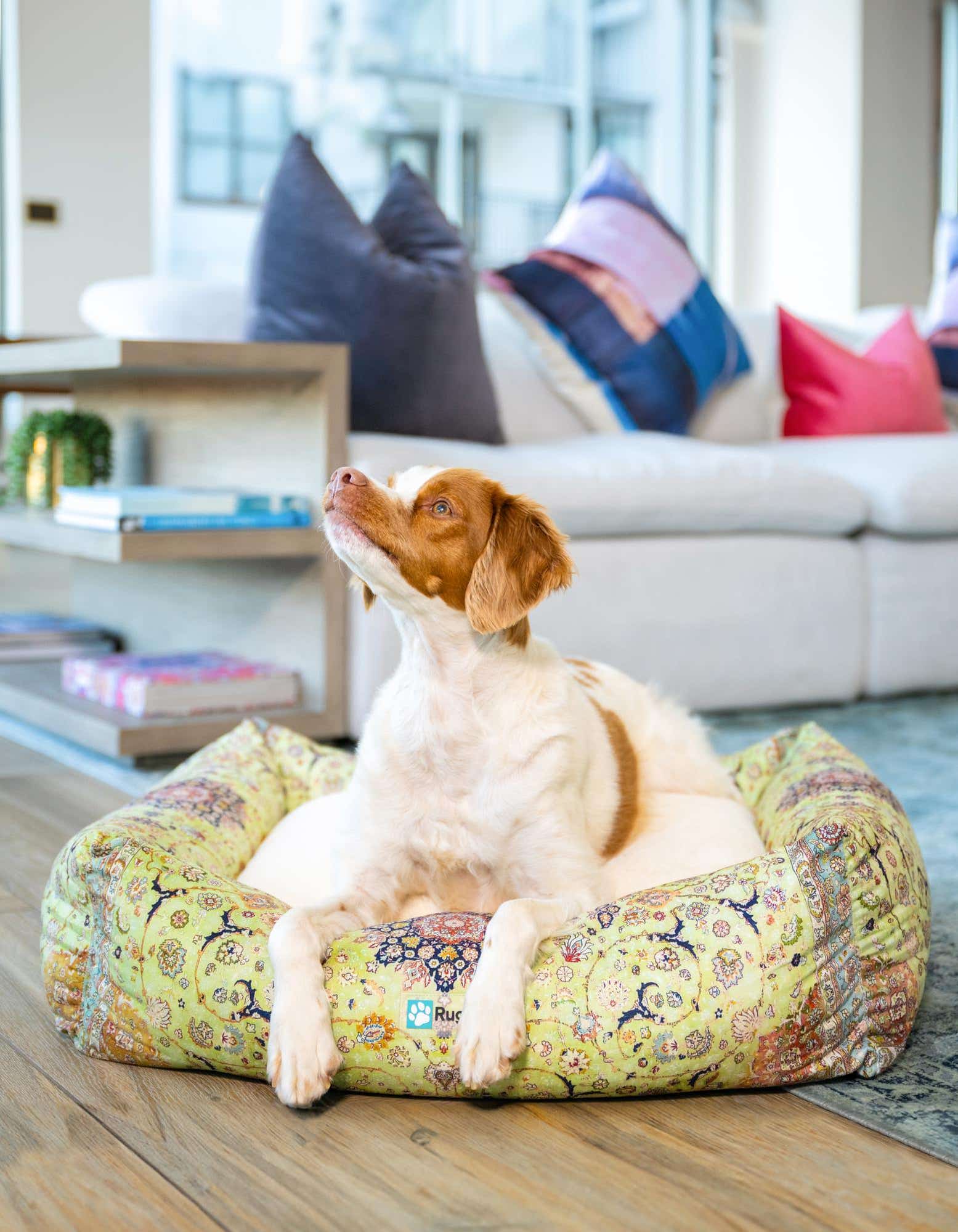 Primary image 2' x 2' 4 Premium Pet Bed