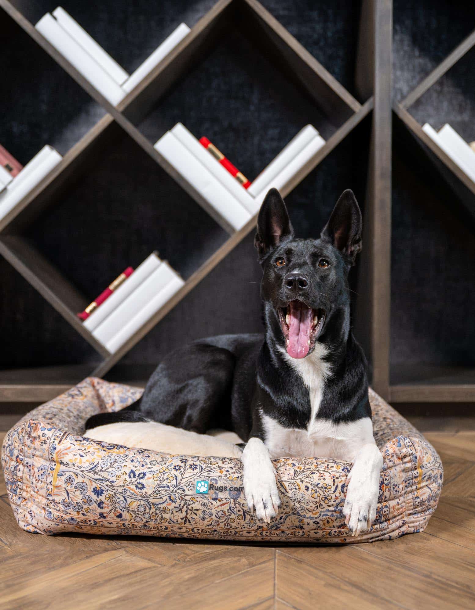Primary image 2' x 2' 4 Premium Pet Bed
