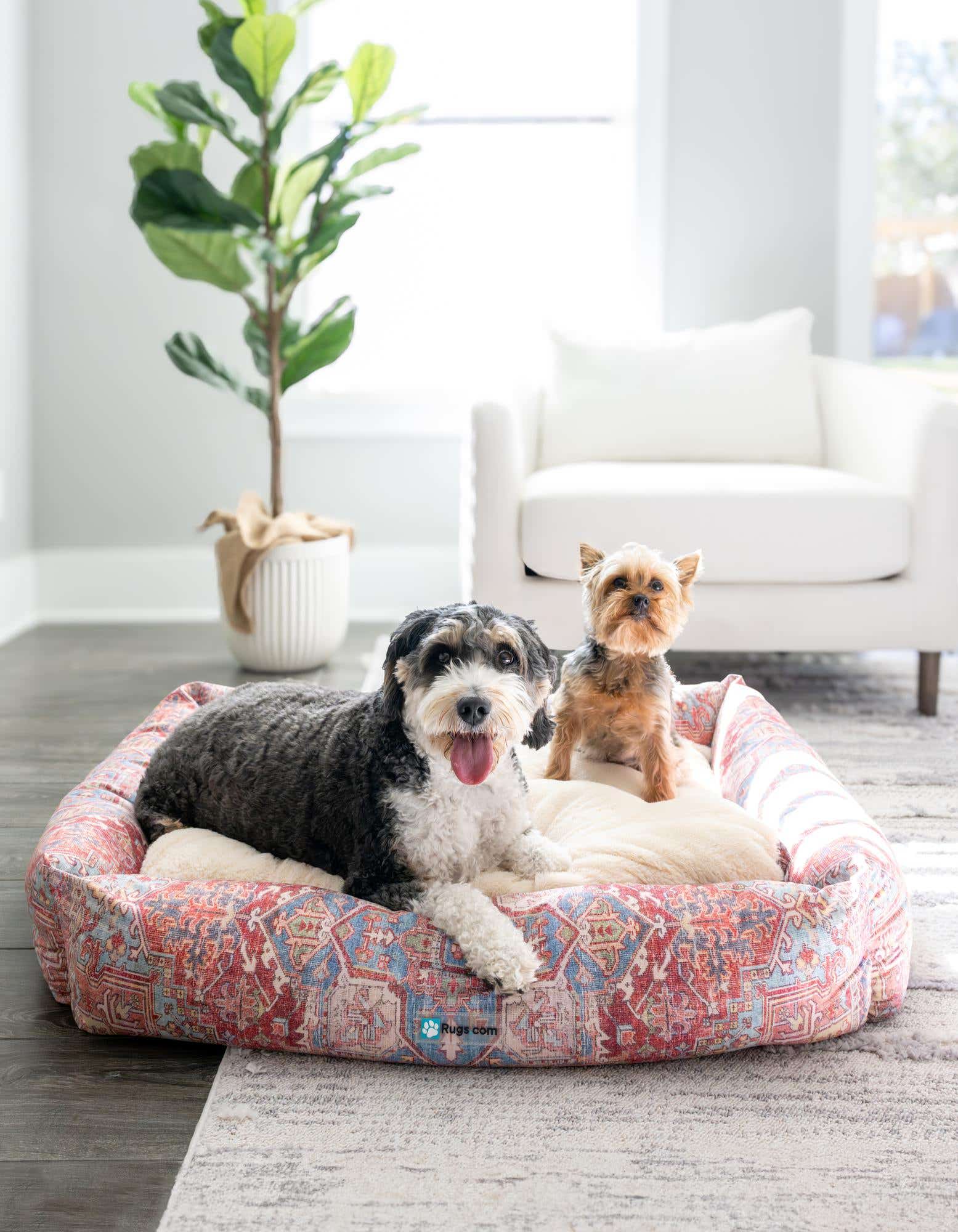 Primary image 2' 9 x 3' 3 Premium Pet Bed