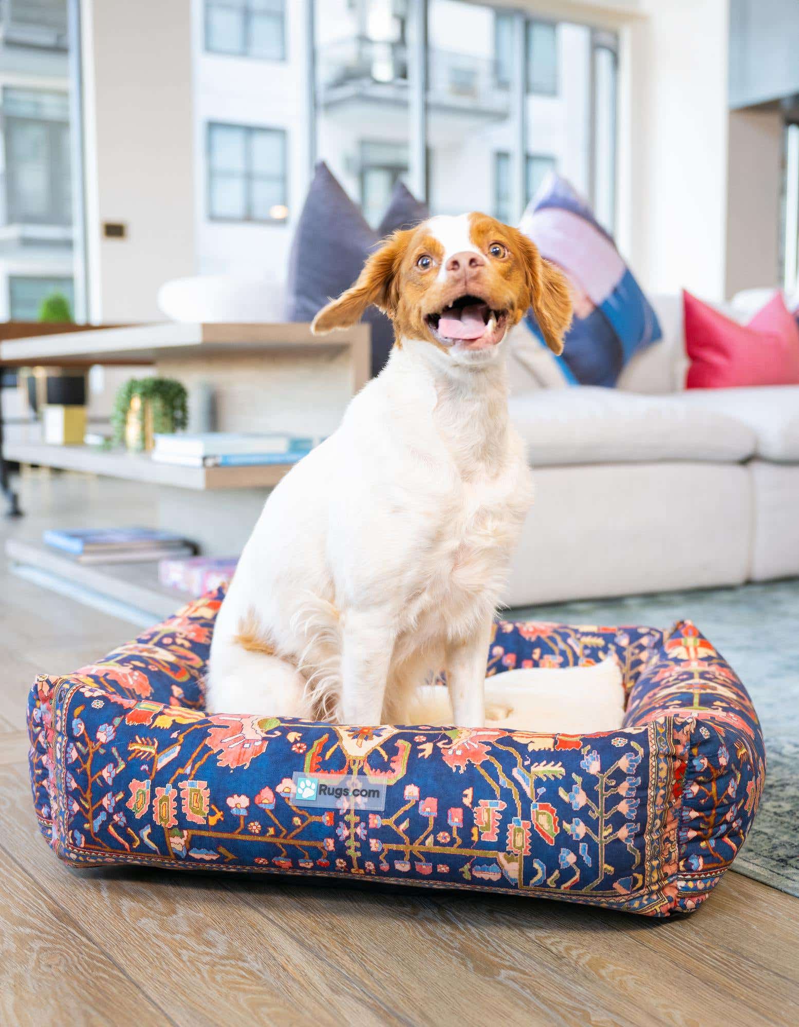 2' x 2' 4 Premium Pet Bed