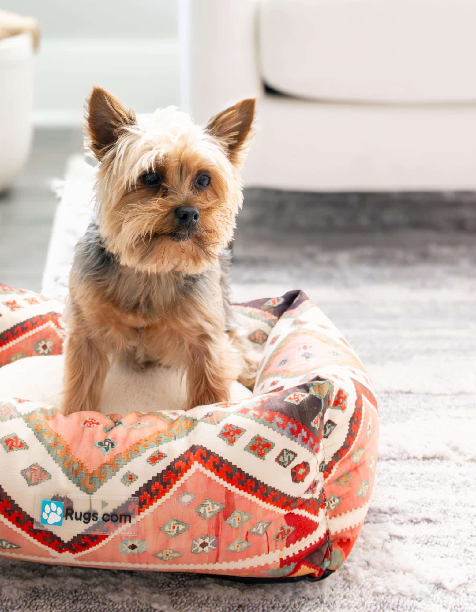 1' 4 x 1' 8 Premium Pet Bed